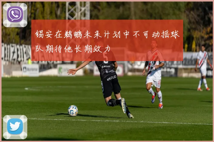 锡安在鹈鹕未来计划中不可动摇球队期待他长期效力